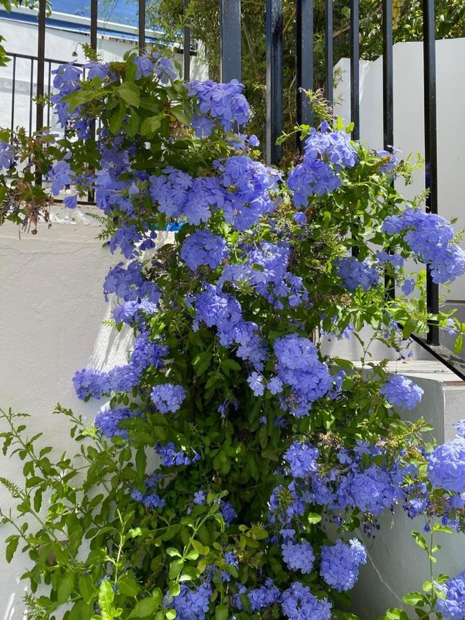 Stunning Home Benamahoma 4 Bed - Sierra Grazalema מראה חיצוני תמונה